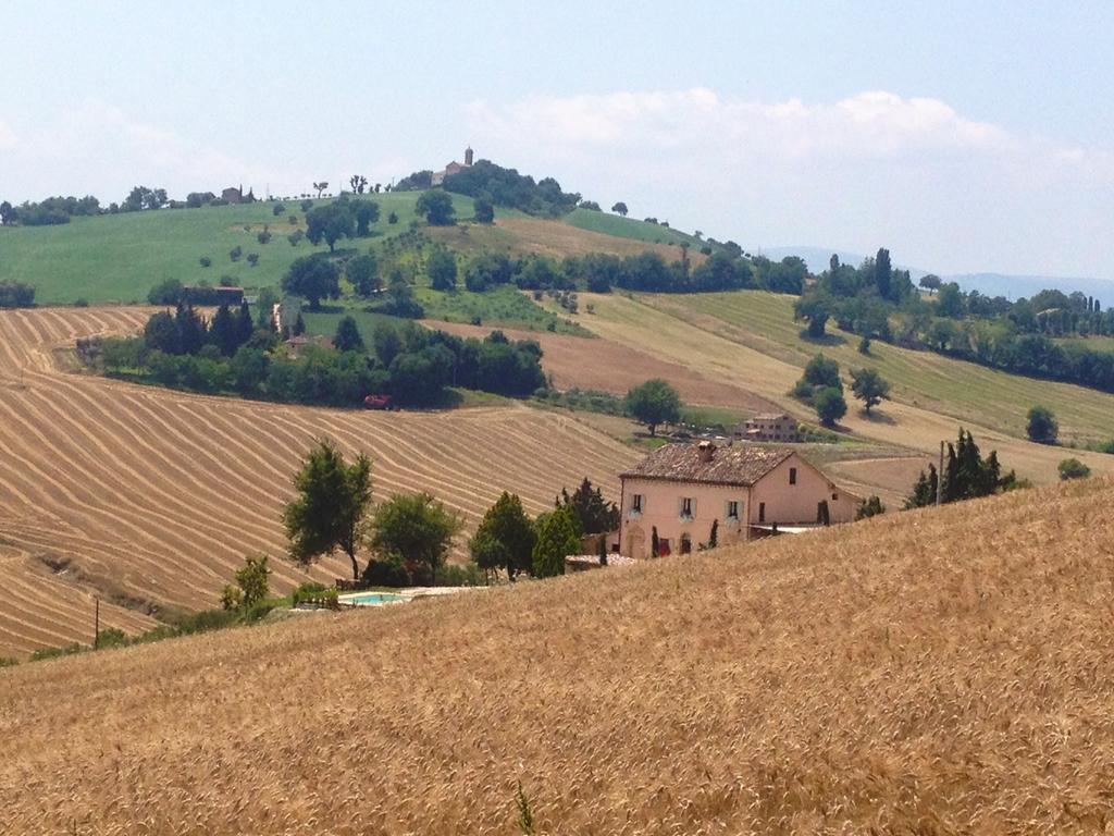 Casale Delle Rondini Bed & Breakfast Tolentino Bagian luar foto